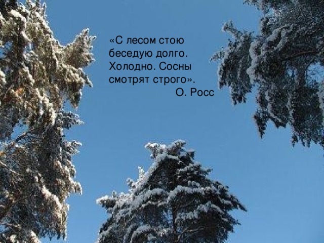 «С лесом стою  беседую долго.  Холодно. Сосны  смотрят строго».  О. Росс