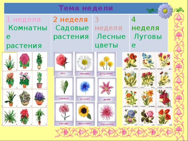 Экологический проект  « Ц в е т о ч н ы й        к а л е й д о с к о п»  старшая группа   Бабурина Юлия Сергеевна   Хохлова Елена Анатольевна