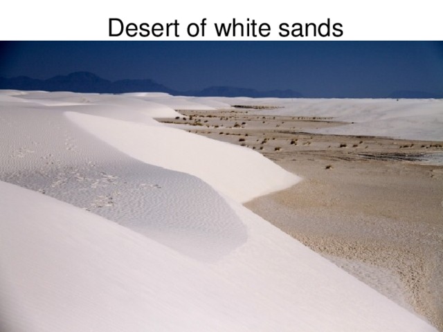 Desert of white sands