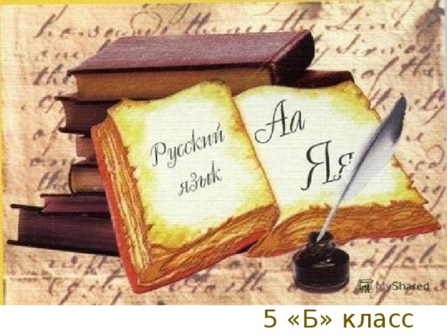 5 «Б» класс