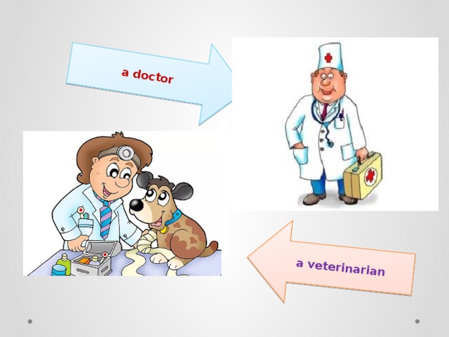 a doctor a veterinarian