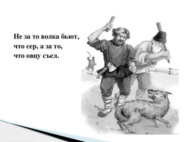 Не за то волка бьют, что сер, а за то, что овцу съел.