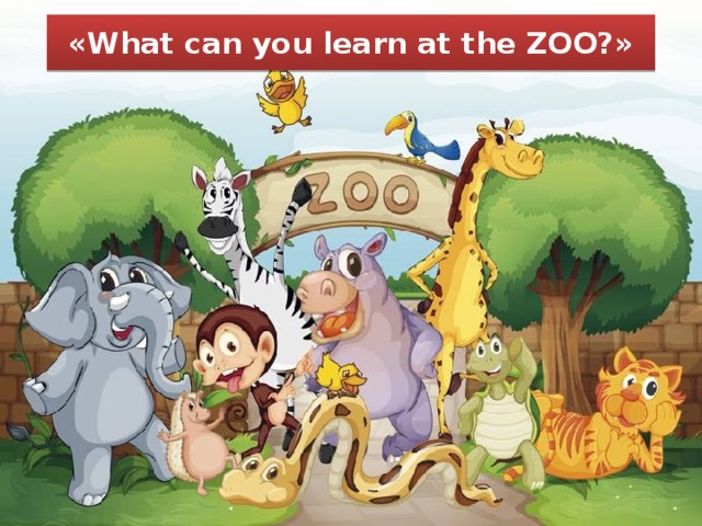 «What can you learn at the ZOO?»