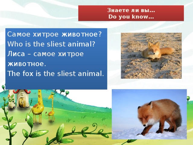 Знаете ли вы…  Do you know… Самое хитрое животное? Who is the sliest animal? Лиса – самое хитрое  животное. The fox is the sliest animal.