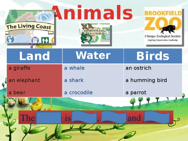 Animals Land Water a giraffe Birds a whale an elephant an ostrich a shark a bear a humming bird a crocodile a parrot The giraffe is _____, _____ and _____