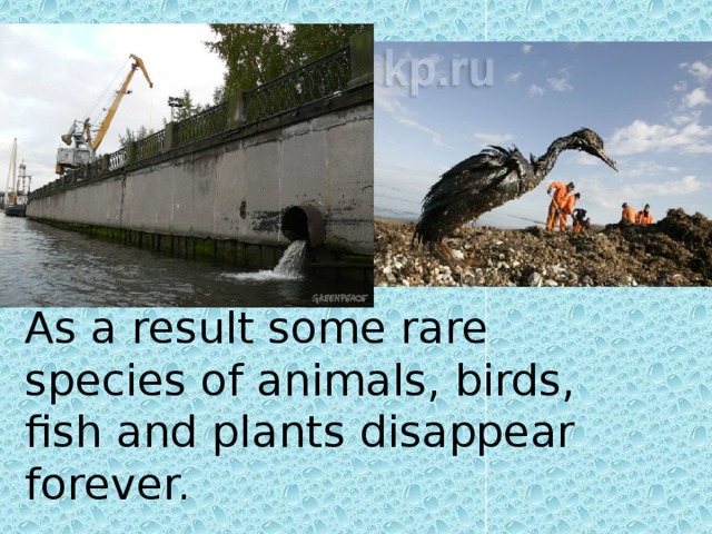 As a result some rare species of animals, birds, fish and plants disappear forever.