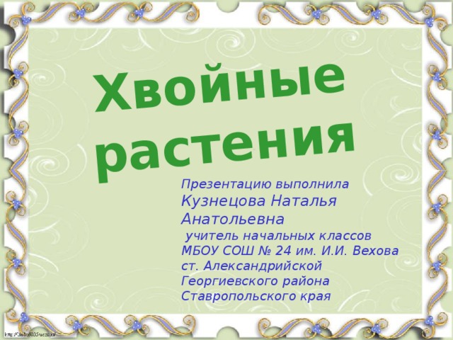 Хвойные растения Презентацию выполнила Кузнецова Наталья Анатольевна  учитель начальных классов МБОУ СОШ № 24 им. И.И. Вехова ст. Александрийской Георгиевского района Ставропольского края