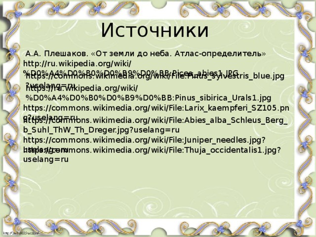 Источники А.А. Плешаков. «От земли до неба. Атлас-определитель» http://ru.wikipedia.org/wiki/%D0%A4%D0%B0%D0%B9%D0%BB:Picea_abies1.JPG https://commons.wikimedia.org/wiki/File:Pinus_sylvestris_blue.jpg?uselang=ru https://ru.wikipedia.org/wiki/%D0%A4%D0%B0%D0%B9%D0%BB:Pinus_sibirica_Urals1.jpg https://commons.wikimedia.org/wiki/File:Larix_kaempferi_SZ105.png?uselang=ru https://commons.wikimedia.org/wiki/File:Abies_alba_Schleus_Berg_b_Suhl_ThW_Th_Dreger.jpg?uselang=ru https://commons.wikimedia.org/wiki/File:Juniper_needles.jpg?uselang=ru https://commons.wikimedia.org/wiki/File:Thuja_occidentalis1.jpg?uselang=ru