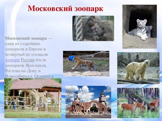 Московский зоопарк Московский зоопарк  — один из старейших зоопарков в Европе и четвёртый по площади  зоопарк  России  после зоопарков Ярославля, Ростова-на-Дону и Новосибирска. Основан в  1864 году В его коллекции представлены 1132  видов  животных,