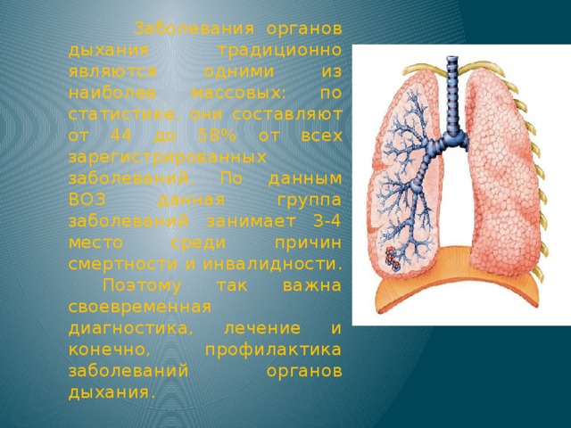 Заболевания органов дыхания традиционно являются одними из наиболее массовых: по статистике, они составляют от 44 до 58% от всех зарегистрированных заболеваний. По данным ВОЗ данная группа заболеваний занимает 3-4 место среди причин смертности и инвалидности. Поэтому так важна своевременная диагностика, лечение и конечно, профилактика заболеваний органов дыхания.