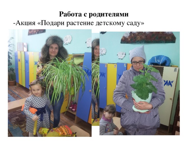Работа с родителями -Акция «Подари растение детскому саду»