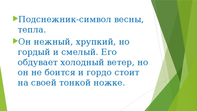 Подснежник-символ весны, тепла. Он нежный, хрупкий, но гордый и смелый. Его обдувает холодный ветер, но он не боится и гордо стоит на своей тонкой ножке.