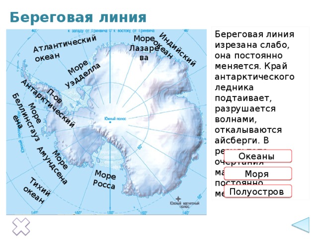 Тихий океан Атлантический океан Индийский океан Море Уэдделла Море  Росса Море Море Амундсена П-ов Беллинсгаузена Антарктический Береговая линия Береговая линия изрезана слабо, она постоянно меняется. Край антарктического ледника подтаивает, разрушается волнами, откалываются айсберги. В результате очертания материка постоянно меняются. Море Лазарева Океаны  Информация появляется по щелчку на прямоугольники с красными контурами. Моря  Полуостров