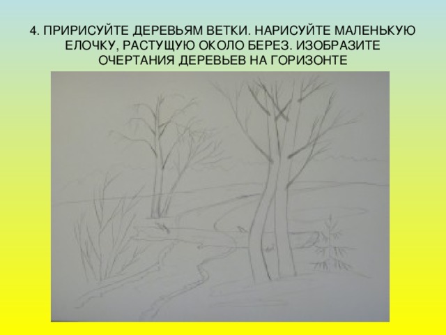 4. ПРИРИСУЙТЕ ДЕРЕВЬЯМ ВЕТКИ. НАРИСУЙТЕ МАЛЕНЬКУЮ ЕЛОЧКУ, РАСТУЩУЮ ОКОЛО БЕРЕЗ. ИЗОБРАЗИТЕ ОЧЕРТАНИЯ ДЕРЕВЬЕВ НА ГОРИЗОНТЕ