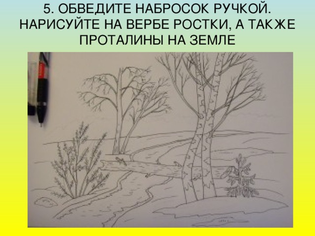 5. ОБВЕДИТЕ НАБРОСОК РУЧКОЙ. НАРИСУЙТЕ НА ВЕРБЕ РОСТКИ, А ТАКЖЕ ПРОТАЛИНЫ НА ЗЕМЛЕ