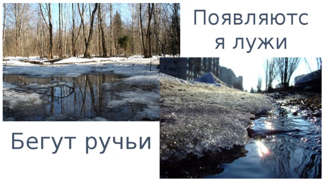 Появляются лужи Бегут ручьи