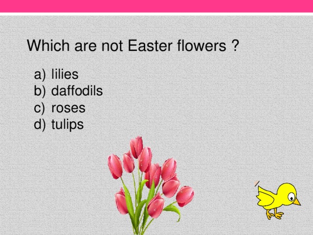 Which are not Easter flowers ?