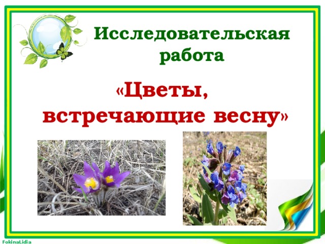 Исследовательская работа «Цветы, встречающие весну»