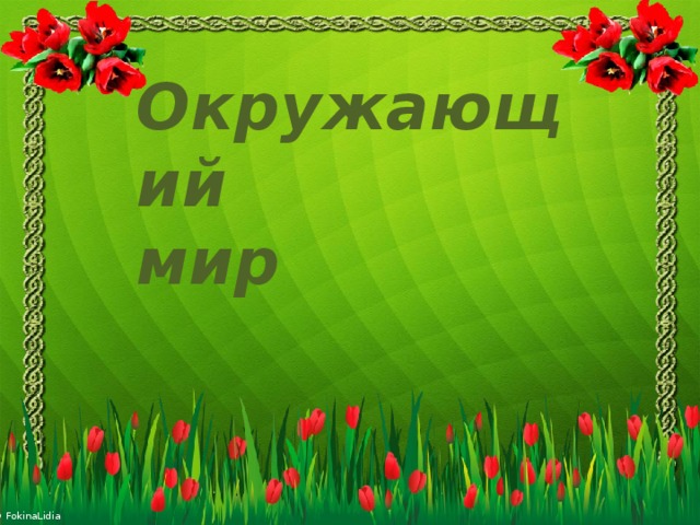 Окружающий мир