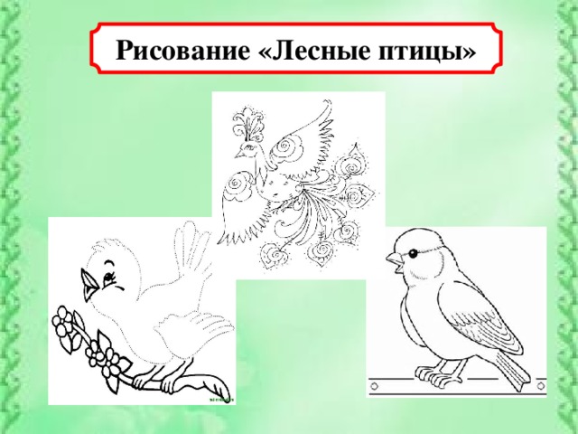 Рисование «Лесные птицы»