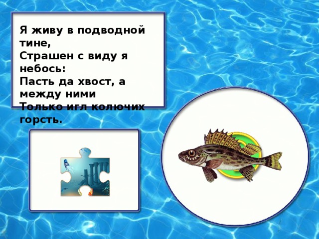 Я живу в подводной тине, Страшен с виду я небось: Пасть да хвост, а между ними Только игл колючих горсть.