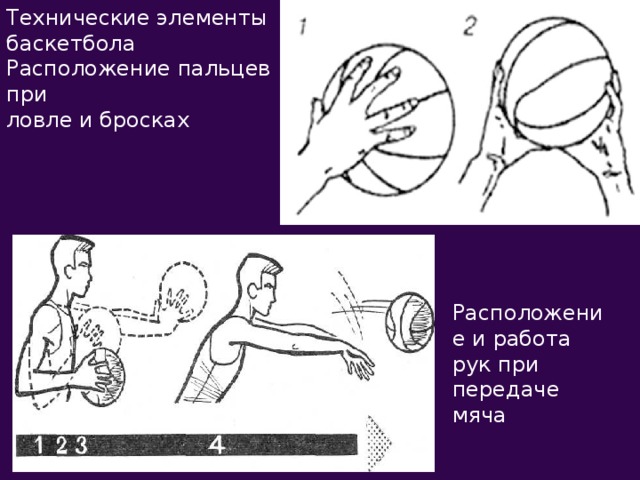 Технические элементы баскетбола Расположение пальцев при ловле и бросках Расположение и работа рук при передаче мяча