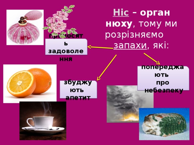 Ніс  – орган нюху , тому ми розрізняємо запахи , які:   приносять задоволення попереджають про  небезпеку збуджують апетит