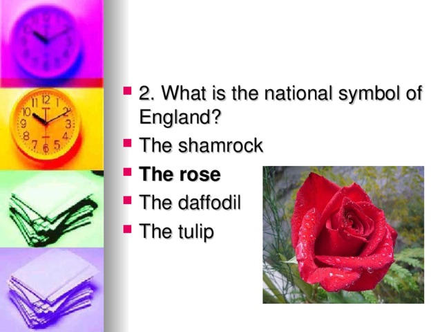 2. What is the national symbol of England? The shamrock The rose The daffodil The tulip