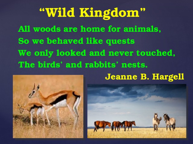 “ Wild Kingdom”   All woods are home for animals, So we behaved like quests We only looked and never touched, The birds’ and rabbits’ nests. Jeanne B. Hargell