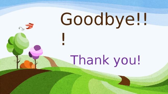 Goodbye!!! Thank you!