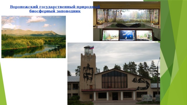 Воронежский государственный природный биосферный заповедник