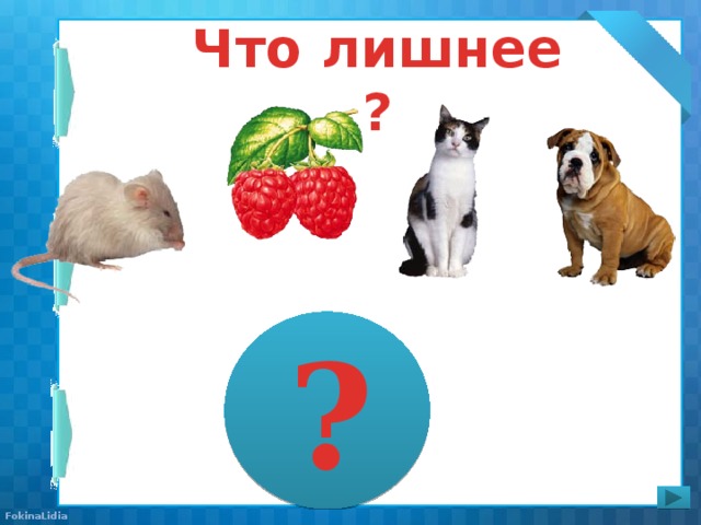 Что лишнее ? ?