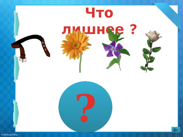 Что лишнее ? ?