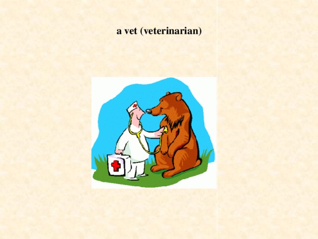 a vet (veterinarian)