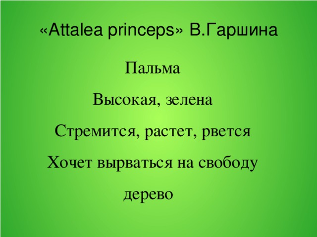 Attalea princeps план рассказа