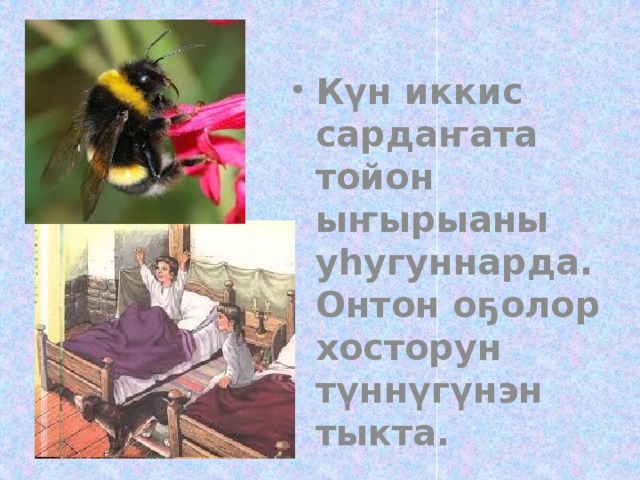 Күн иккис сардаҥата тойон ыҥырыаны уһугуннарда. Онтон оҕолор хосторун түннүгүнэн тыкта.