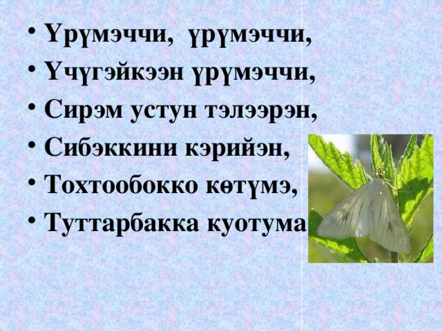 Үрүмэччи, үрүмэччи, Үчүгэйкээн үрүмэччи, Сирэм устун тэлээрэн, Сибэккини кэрийэн, Тохтообокко көтүмэ, Туттарбакка куотума .