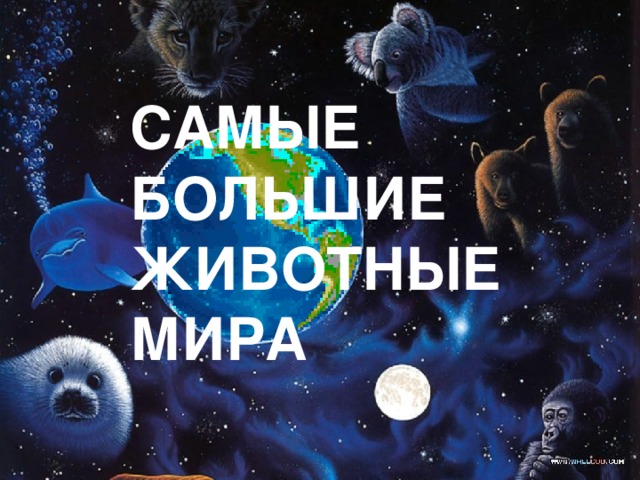 САМЫЕ БОЛЬШИЕ  ЖИВОТНЫЕ МИРА