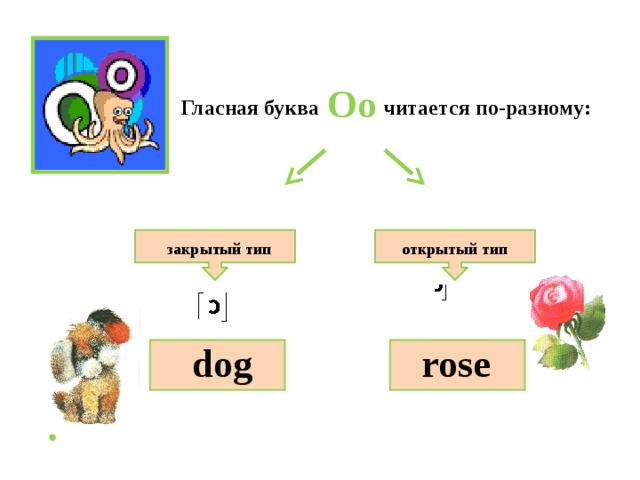 Oo Гласная буква читается по-разному: открытый тип закрытый тип rose dog