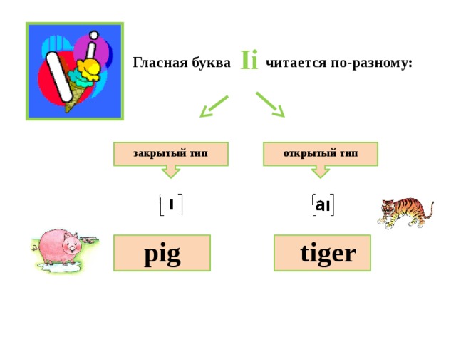 Ii Гласная буква читается по-разному: открытый тип закрытый тип pig tiger