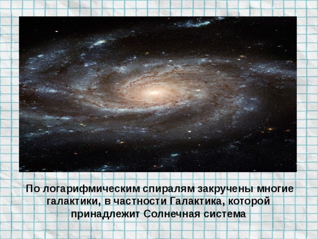 По логарифмическим спиралям закручены многие галактики, в частности Галактика, которой принадлежит Солнечная система