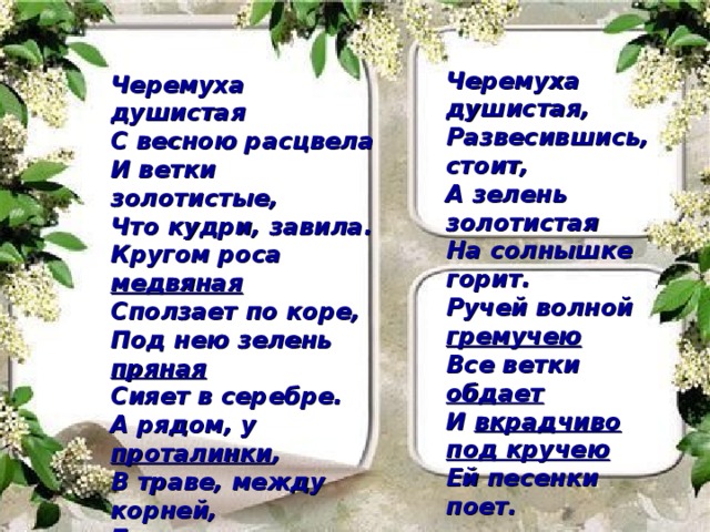 Черемуха душистая,  Развесившись, стоит,  А зелень золотистая  На солнышке горит. Черемуха душистая  С весною расцвела  И ветки золотистые,  Что кудри, завила.  Кругом роса медвяная  Сползает по коре,  Под нею зелень пряная  Сияет в серебре.  А рядом, у проталинки ,  В траве, между корней,  Бежит, струится маленький  Серебряный ручей. Ручей волной гремучею  Все ветки обдает  И вкрадчиво под кручею  Ей песенки поет.