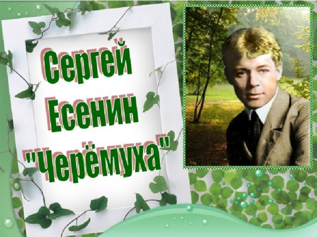 С есенин черемуха картинки