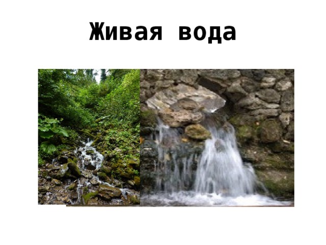 Живая вода