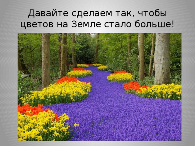 Давайте сделаем так, чтобы цветов на Земле стало больше!