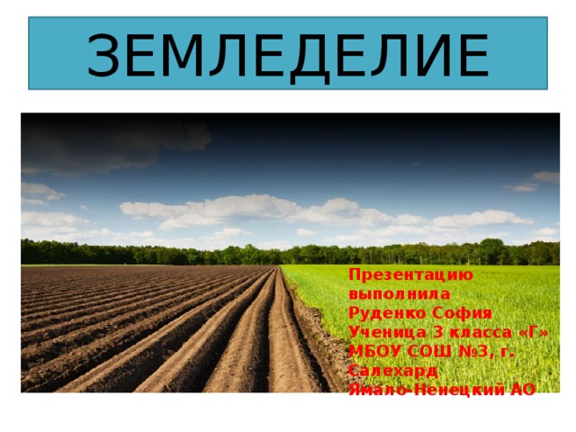 ЗЕМЛЕДЕЛИЕ Презентацию выполнила Руденко София Ученица 3 класса «Г» МБОУ СОШ №3, г. Салехард Ямало-Ненецкий АО