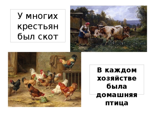 Придумай сюжеты для рисунков на тему труд в крестьянском хозяйстве 3 класс окружающий мир