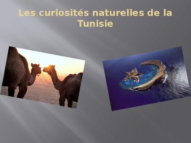 Les curiosités naturelles de la Tunisie
