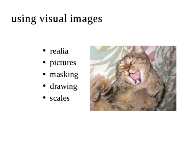 using visual images