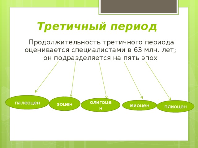 Третичный период   Продолжительность третичного периода оценивается специалистами в 63 млн. лет; он подразделяется на пять эпох палеоцен эоцен олигоцен миоцен плиоцен